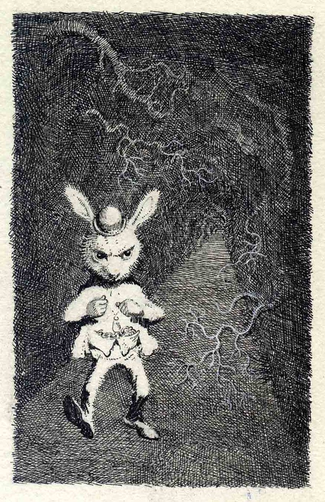 white rabbit