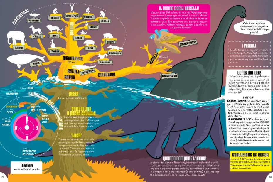 libro delle mappe evoluzione