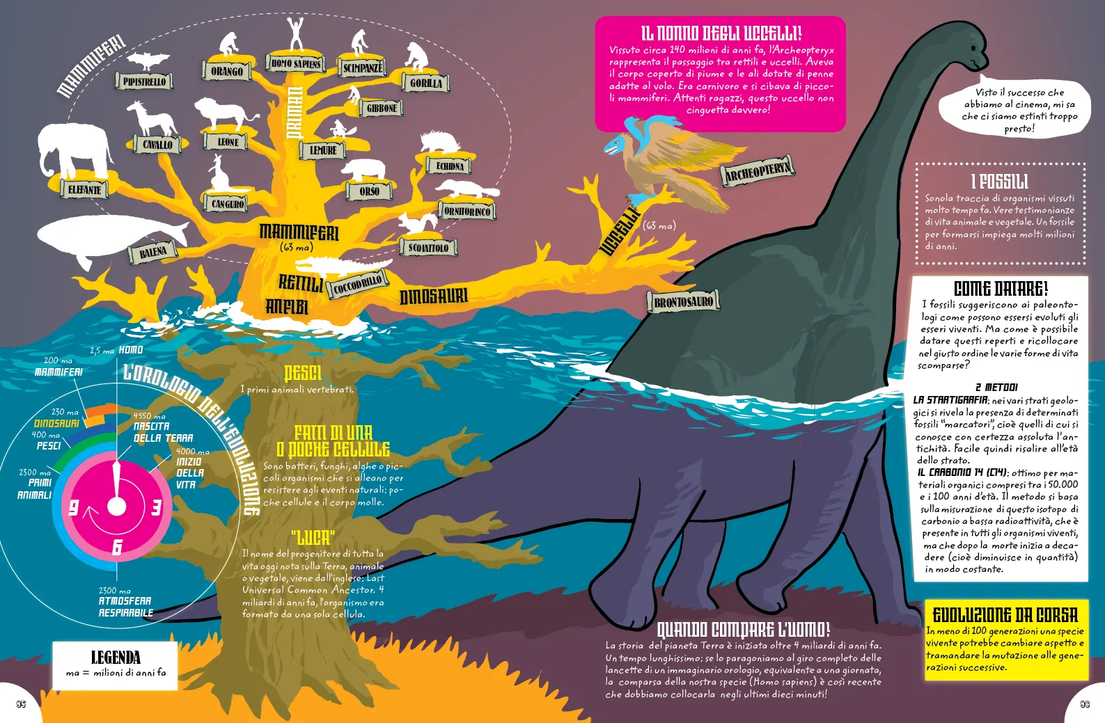 libro delle mappe evoluzione