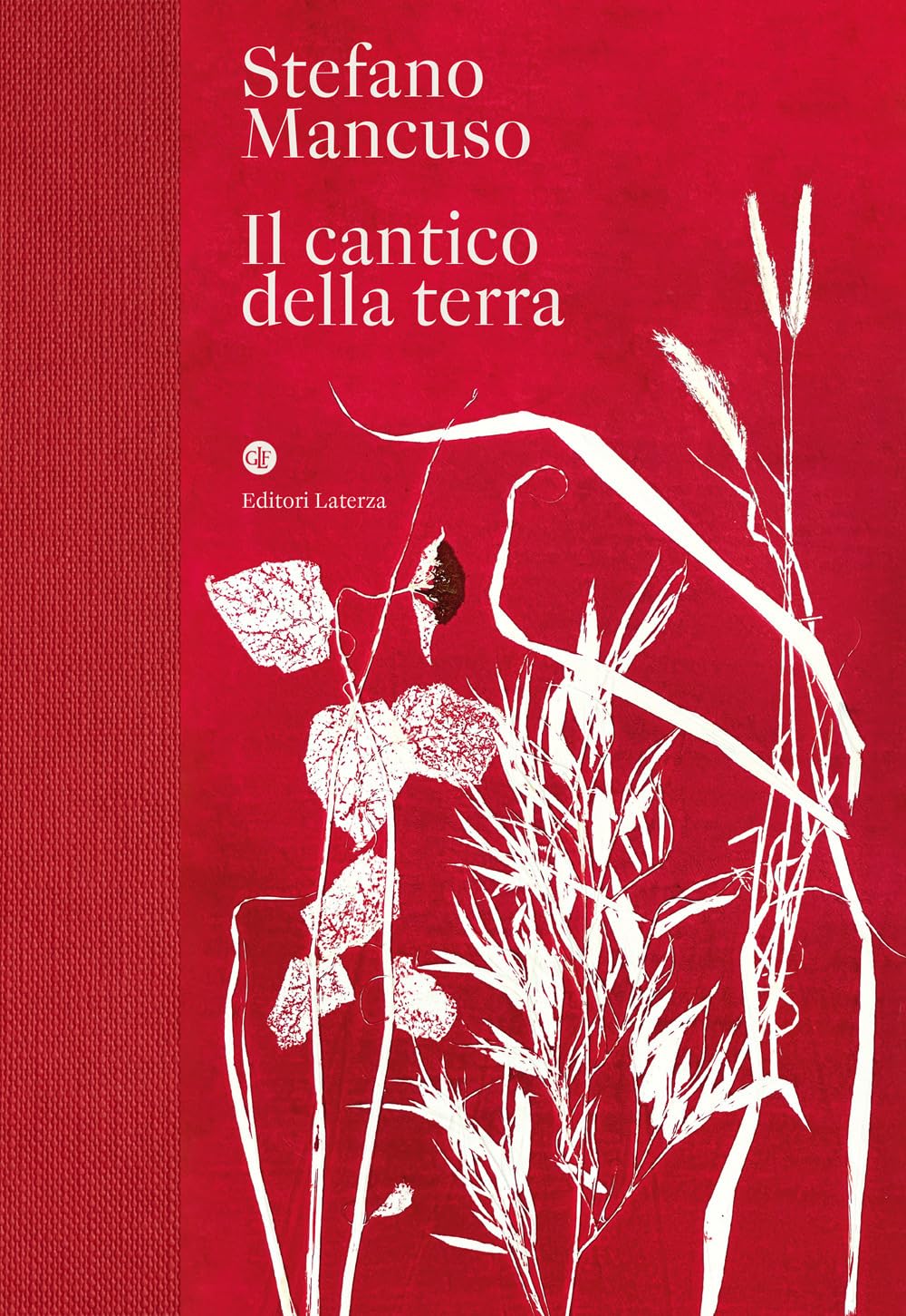 cantico della terra mancuso
